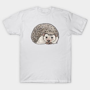 Small Mammals - African Pygmy Hedgehog T-Shirt